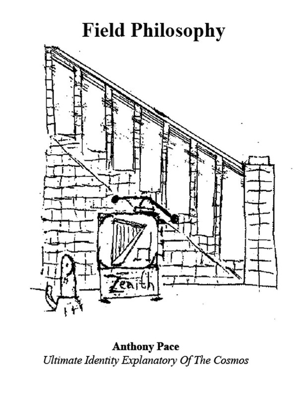 Couverture_Field Philosophy