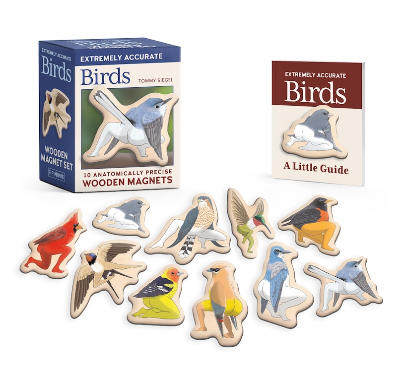 Front cover_Extremely Accurate Birds Wooden Magnet Set