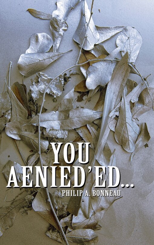Front cover_You Aenied'ed