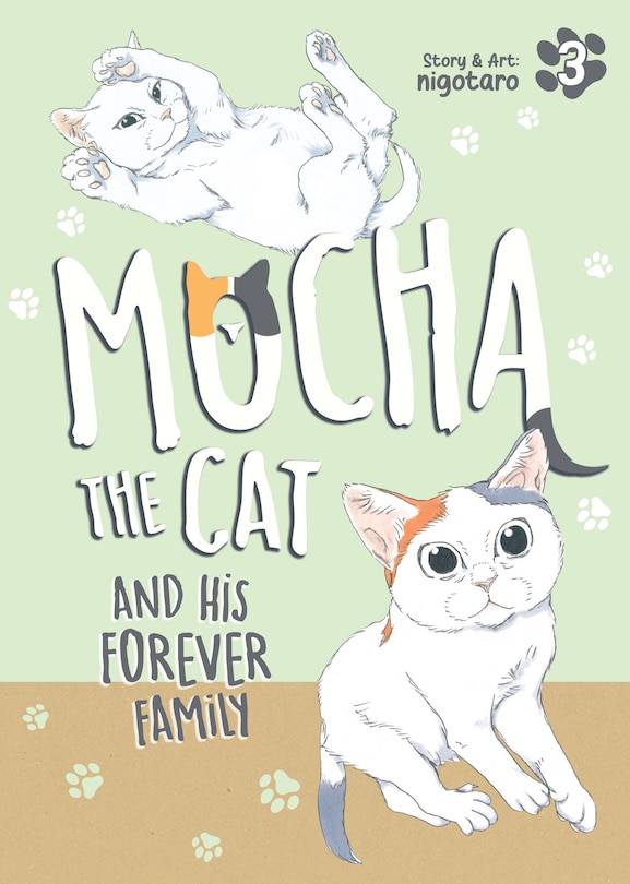 Couverture_Mocha the Cat and His Forever Family Vol. 3