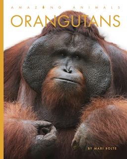 Front cover_Orangutans