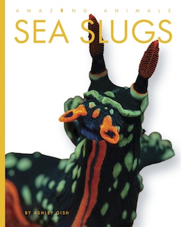 Couverture_Sea Slugs