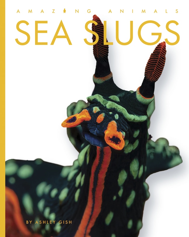 Couverture_Sea Slugs