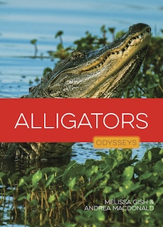 Front cover_Alligators
