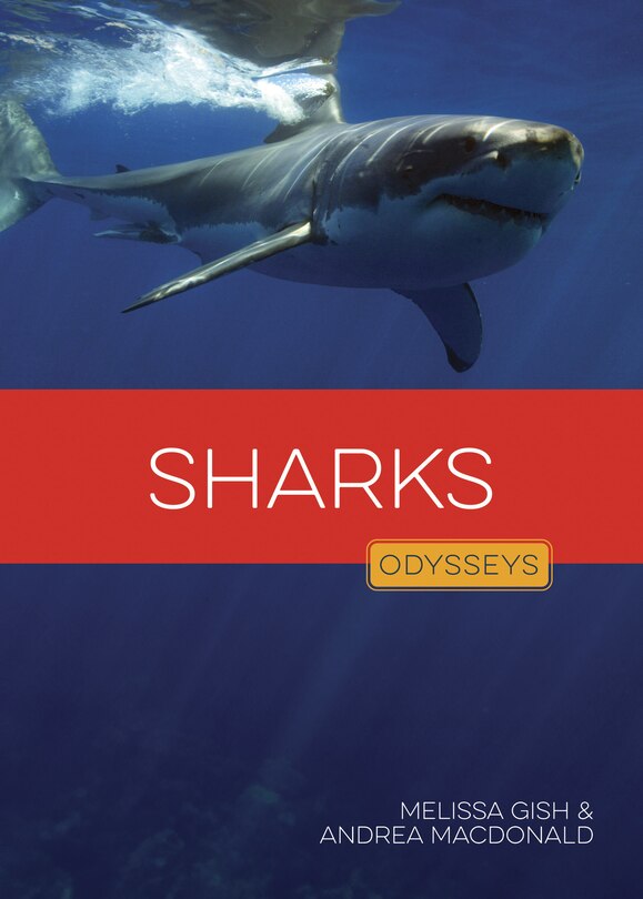 Front cover_Sharks