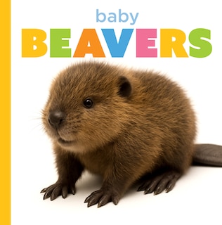 Couverture_Baby Beavers