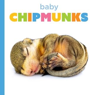 Couverture_Baby Chipmunks