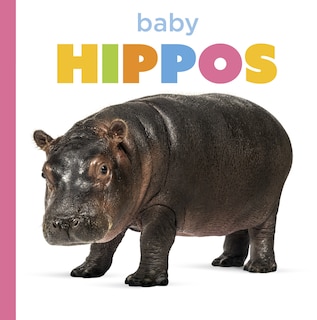 Couverture_Baby Hippos