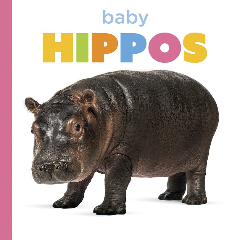 Couverture_Baby Hippos