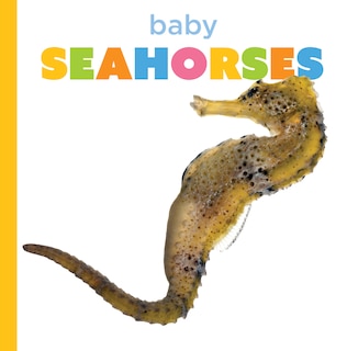 Couverture_Baby Seahorses