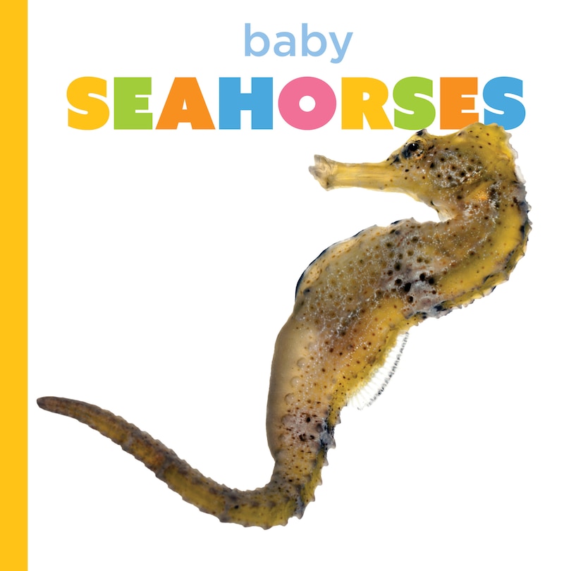Couverture_Baby Seahorses