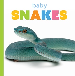 Couverture_Baby Snakes