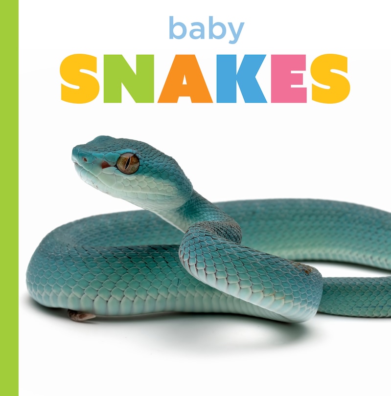 Couverture_Baby Snakes