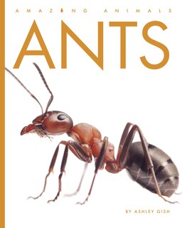 Front cover_Ants
