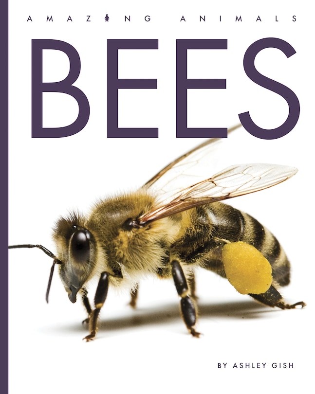 Front cover_Bees