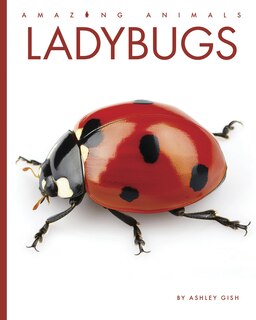 Front cover_Ladybugs