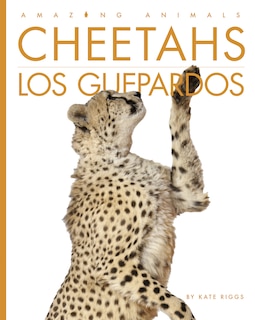 Couverture_Cheetahs / Los guepardos