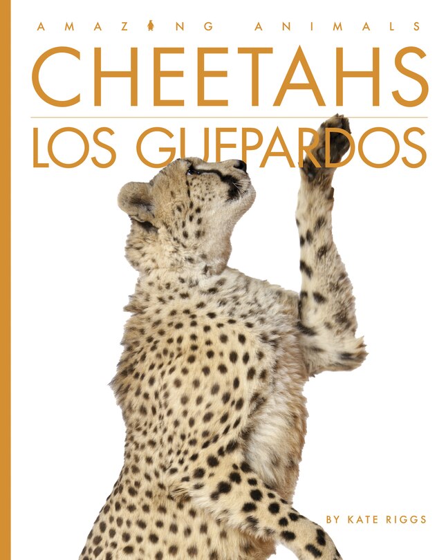 Couverture_Cheetahs / Los guepardos