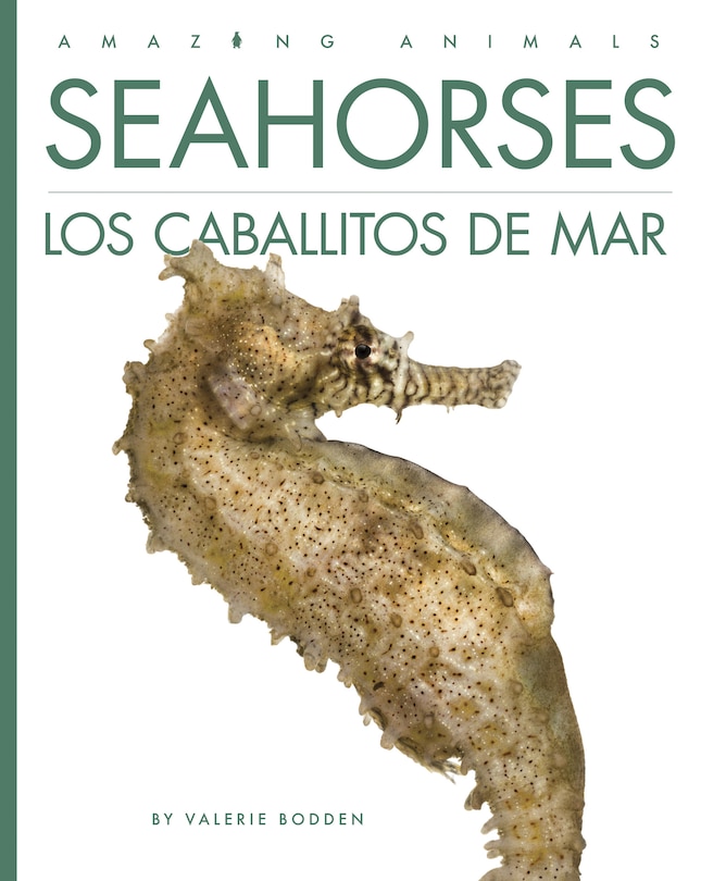 Couverture_Seahorses / Los caballitos de mar