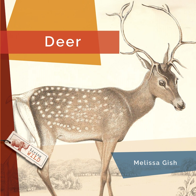 Front cover_Deer