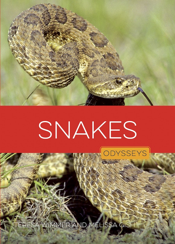 Couverture_Snakes