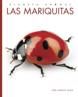Front cover_Las mariquitas