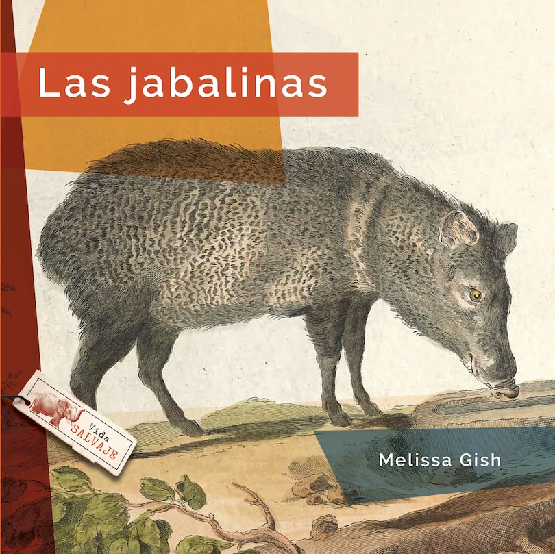 Front cover_Las jabalinas