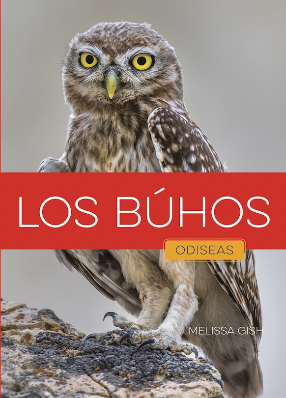 Front cover_Los b&uacute;hos