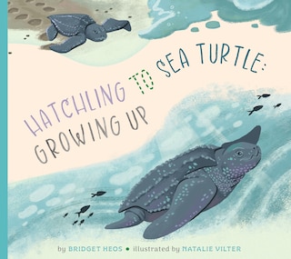 Front cover_Hatchling to Sea Turtle: Growing Up