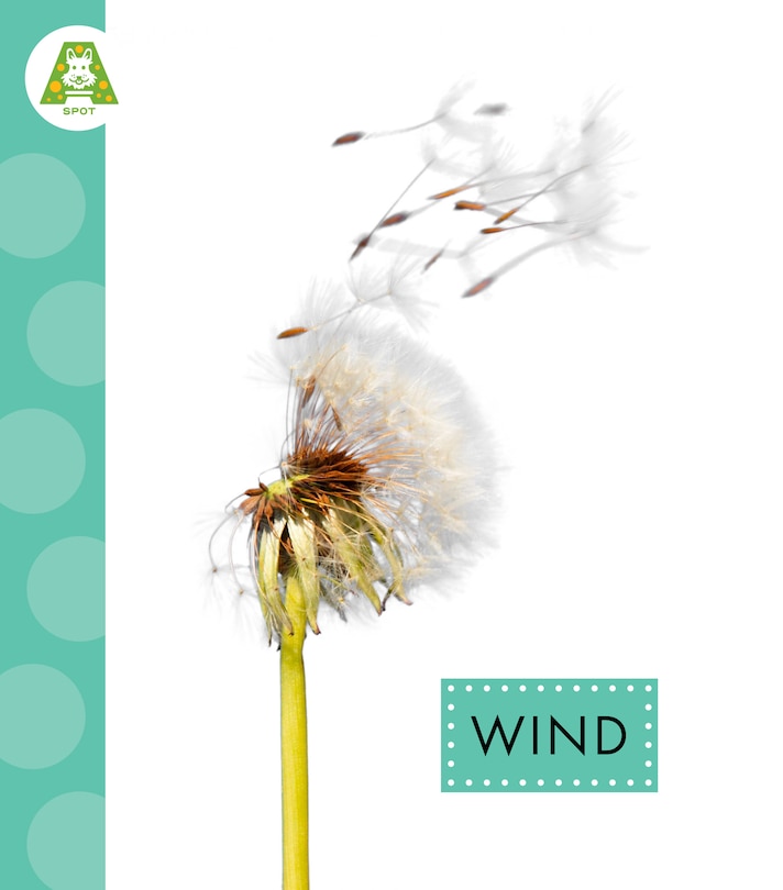 Couverture_Wind