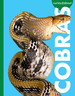 Front cover_Curious about Cobras