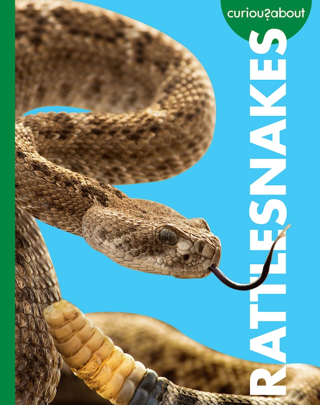 Couverture_Curious about Rattlesnakes