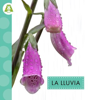 Couverture_La lluvia