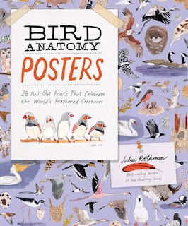 Couverture_Bird Anatomy Posters