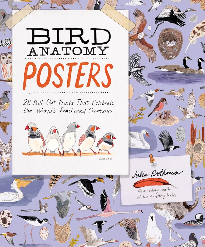 Couverture_Bird Anatomy Posters
