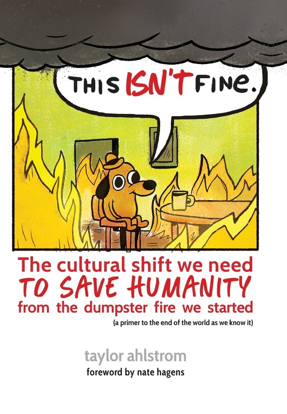 Couverture_This Isn't Fine