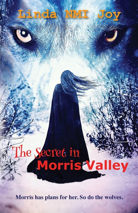Couverture_The Secret in Morris Valley
