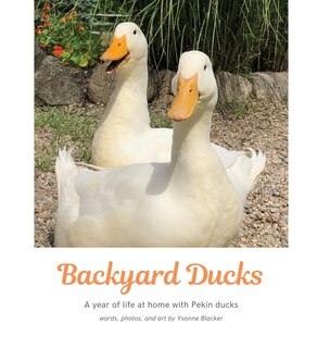 Couverture_Backyard Ducks