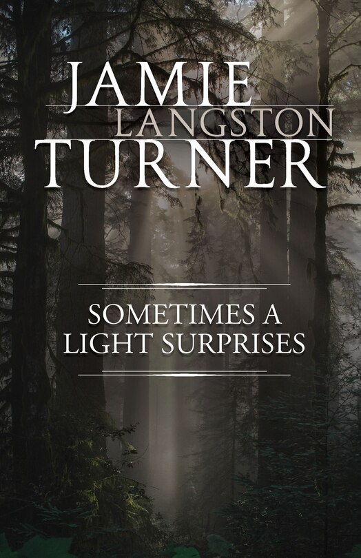 Front cover_Sometimes a Light Surprises