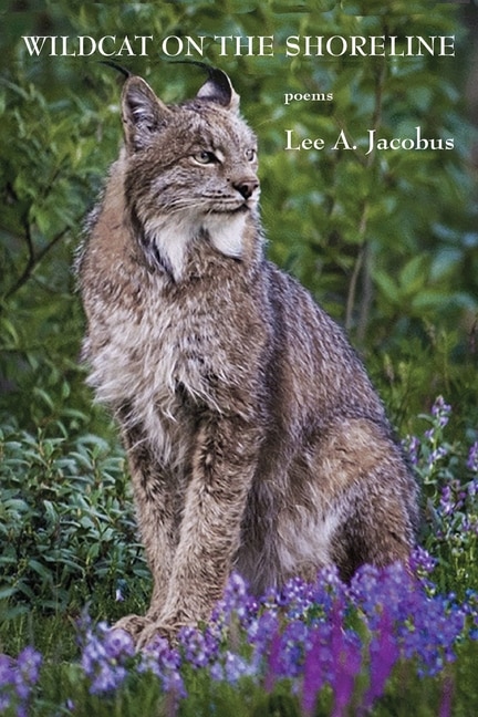 Front cover_Wildcat on the Shoreline