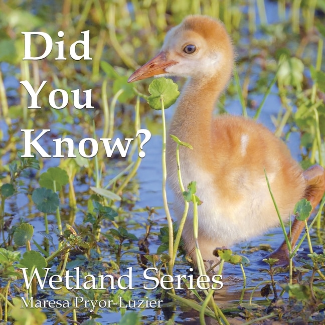 Couverture_Did You Know? Wetland Series