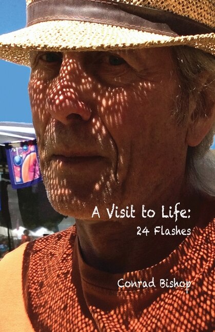 Front cover_A Visit to Life