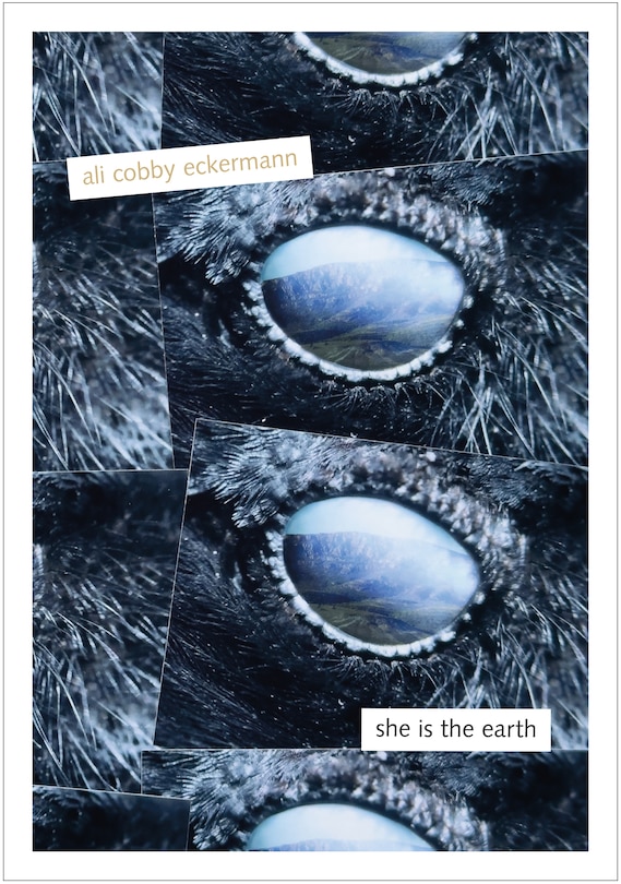 Couverture_She Is the Earth