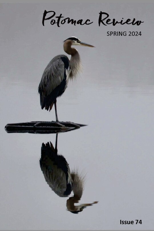 Front cover_Potomac Review Issue 74