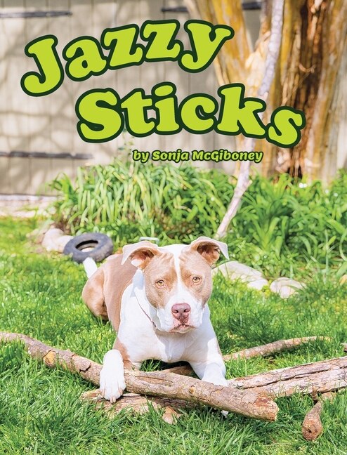 Couverture_Jazzy Sticks