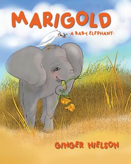 Marigold A Baby Elephant