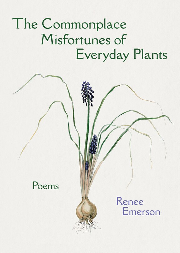 Couverture_The Commonplace Misfortunes of Everyday Plants