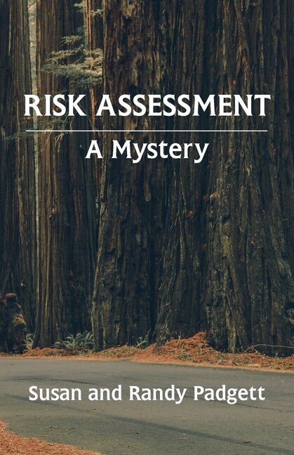 Couverture_Risk Assessment