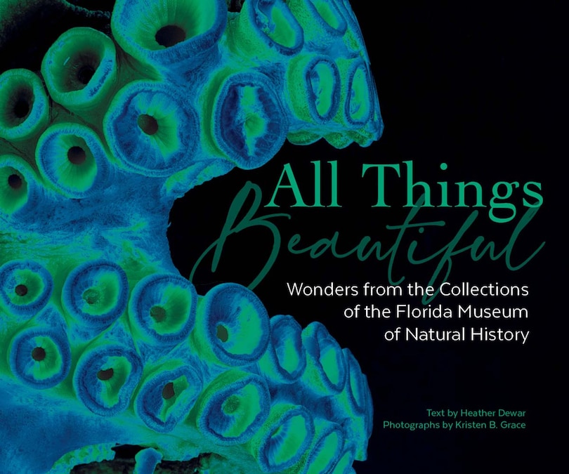 Couverture_All Things Beautiful