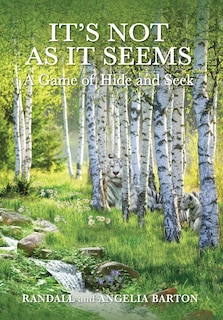 Couverture_It's Not as It Seems